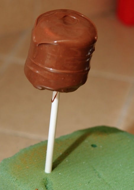 a chocolate covered marshmallow on a lollipop stick