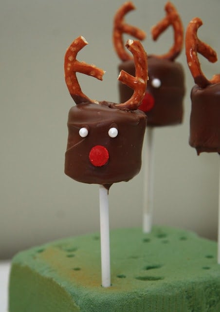 Chocolate covered marshmallow reindeer