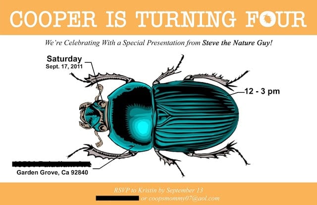 Bug Birthday Party invitation