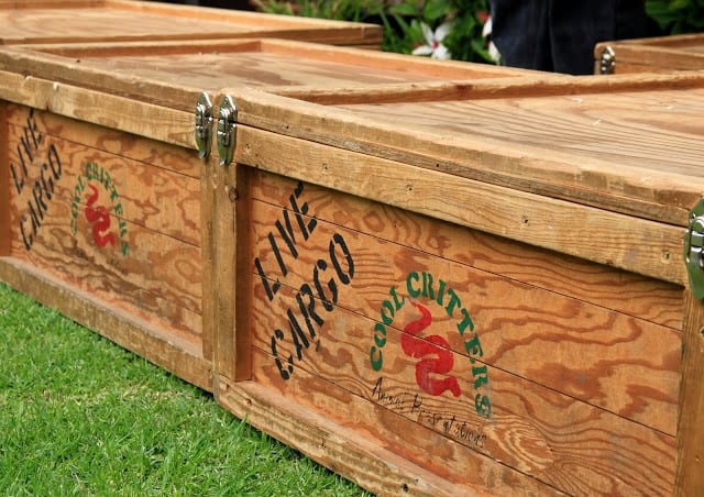 A wooden box that says \"Live Cargo\" and \"Cool Critters\"