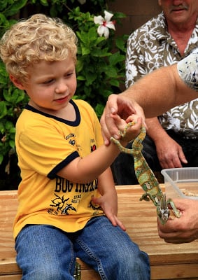 A small boy and a lizard