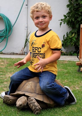 A little boy that is sitting on top of a turtle