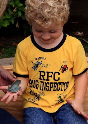 A little boy holding a small frog