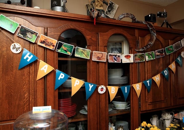 Happy birthday banner and bug pictures on a hutch