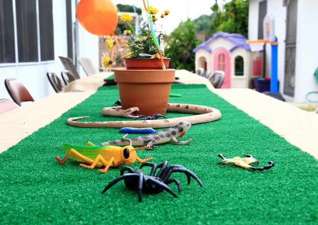 Bug themed table and decor