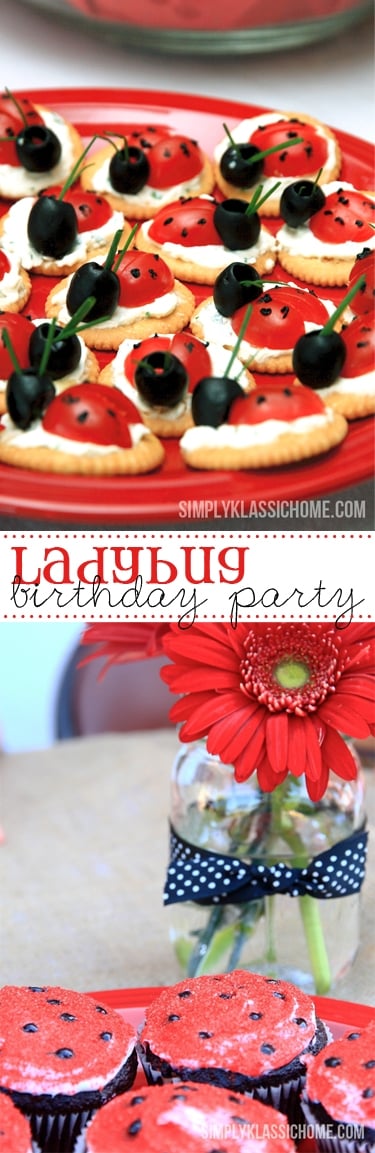 Adorable birthday party for your little ladybug! yellowblissroad.com