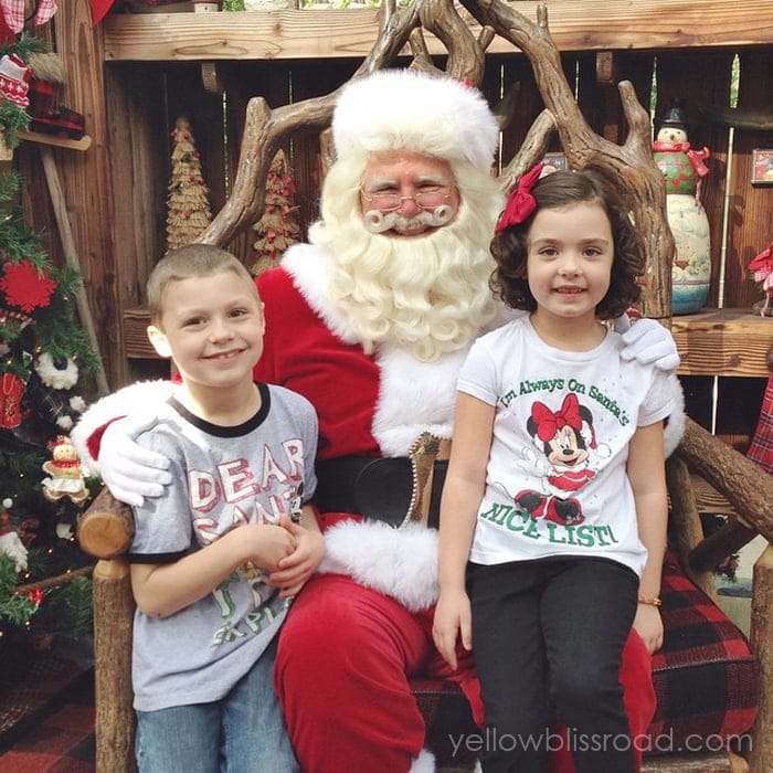 Disneyland santa