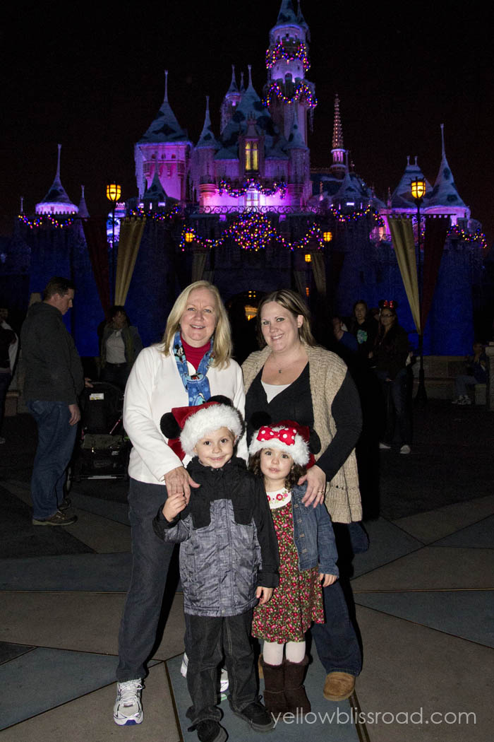 Family Disneyland Xmas Castle