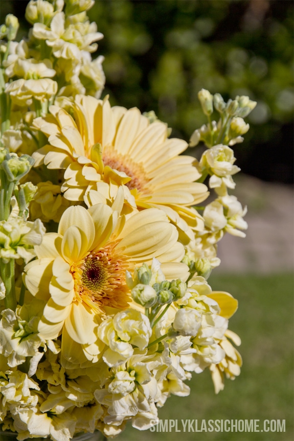 A close up of a flower