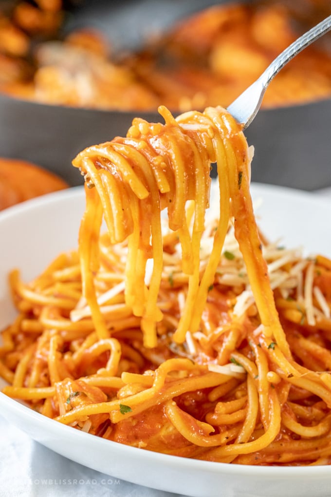 One Pot Chicken Spaghetti is a simple dinner idea that will satisfy even the pickiest critics. Creamy, cheesy pasta, tomato sauce and spaghetti - Easy! One Pot Chicken Spaghetti lifted off the plate on a fork.