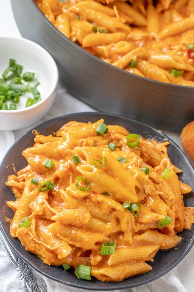 One Pot Cheesy Chicken Pasta is creamy and simple to make with just a few ingredients and one pan for easy clean up. It's the perfect weeknight dinner! A plate of cheesy chicken pasta.