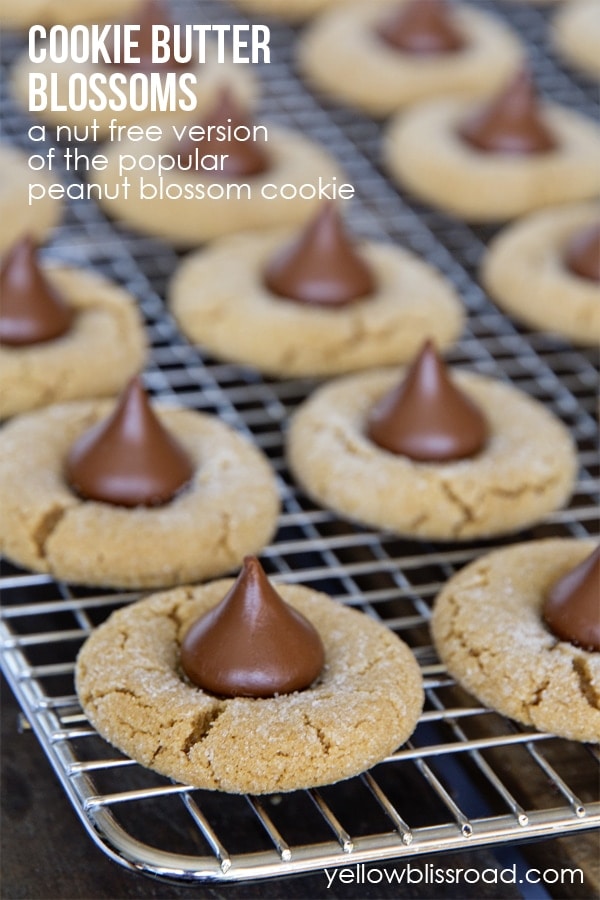 Cookie Butter Blossoms - a nut free version of the popular peanut blossoms or "Kiss Cookies"