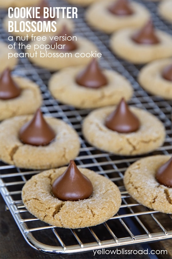 Cookie Butter Blossoms - a nut free version of the popular peanut blossoms or