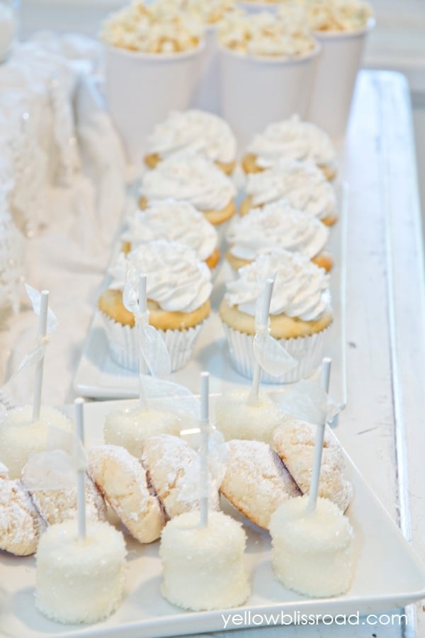 Snow Party Food