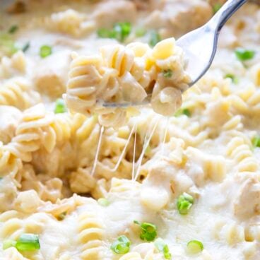 A close up of pasta, chicken, and cheese
