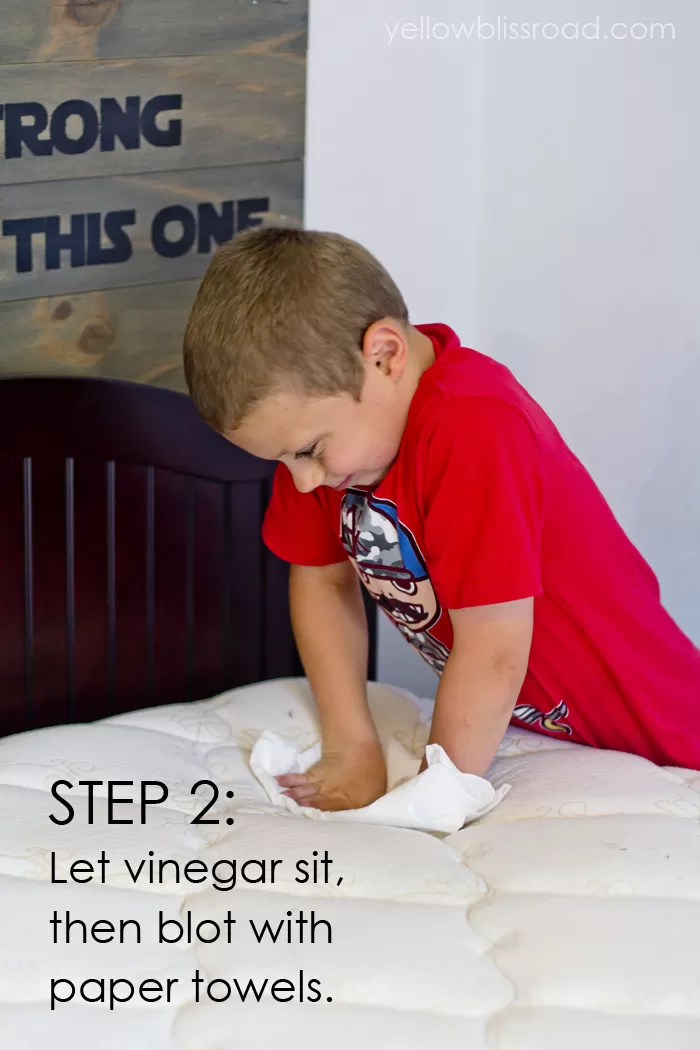 Cleaning Urine from a Mattress Step 2
