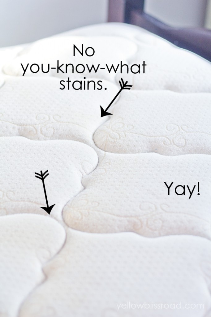 AllNatural Mattress Cleaner to Remove Urine Stains & Odors