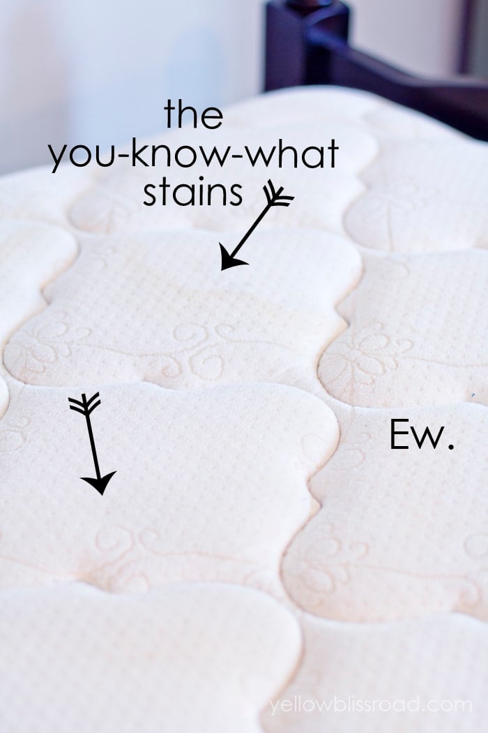 The Simplest Way to Remove Urine Stains from a Mattress