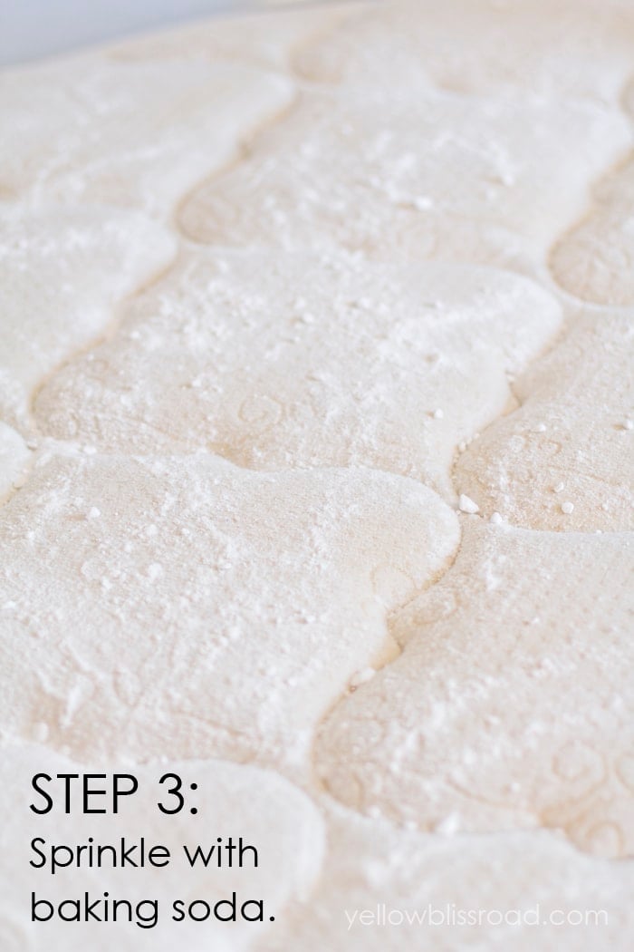 How to Clean Urine Stains from a Mattress Step 3