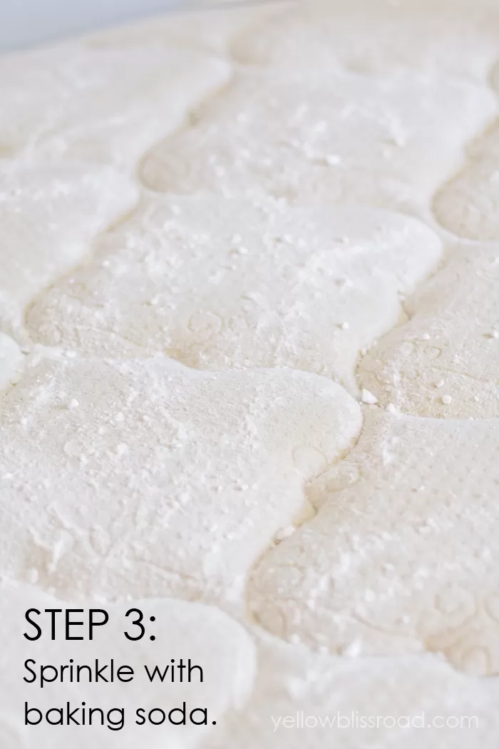 How to Clean Urine Stains from a Mattress Step 3