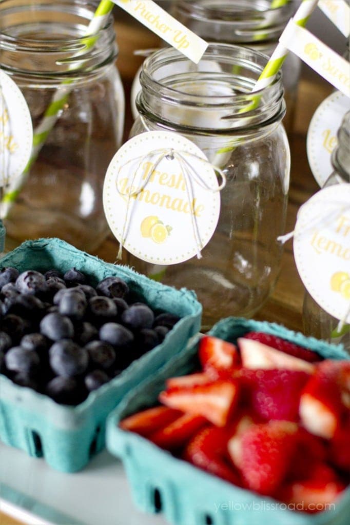 Flavored Lemonade Bar with Free Printables