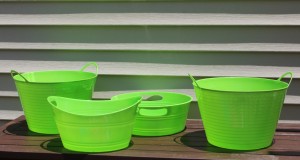 champagne bucket dollar tree