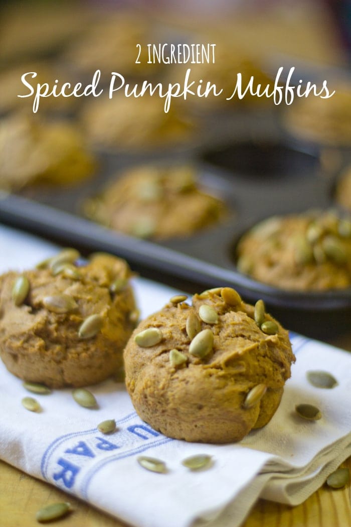 2 ingredient spiced pumpkin muffins