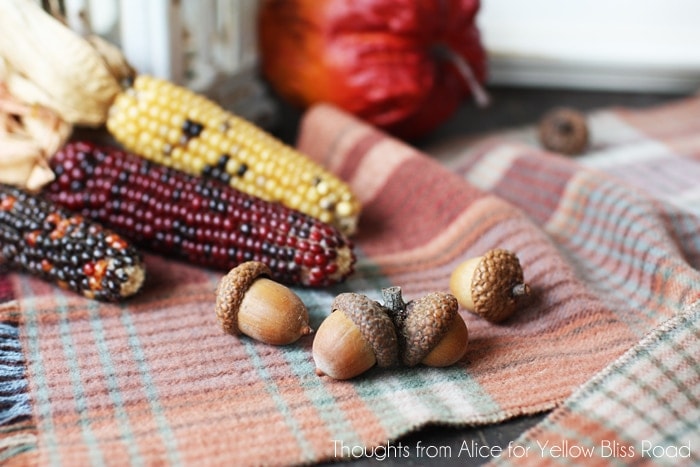 Autumn Vignette with Natural Decor