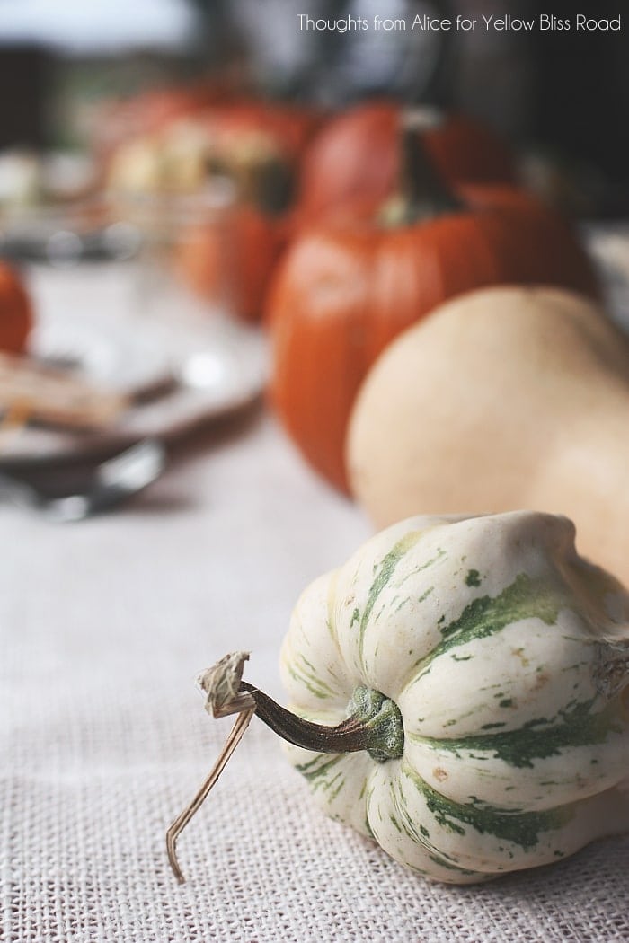 Squash Pumpkin and Gourd Table Centerpiece