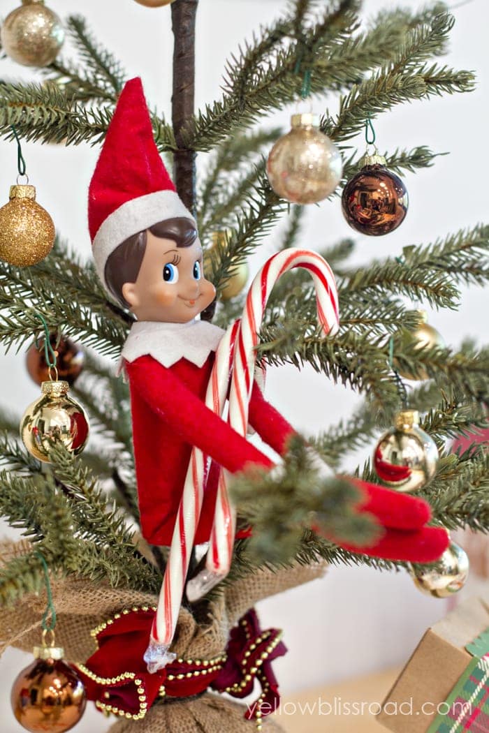 Elf on the Shelf