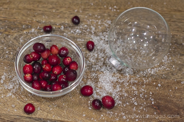 Cranberry Epsom Salt Ornament prep