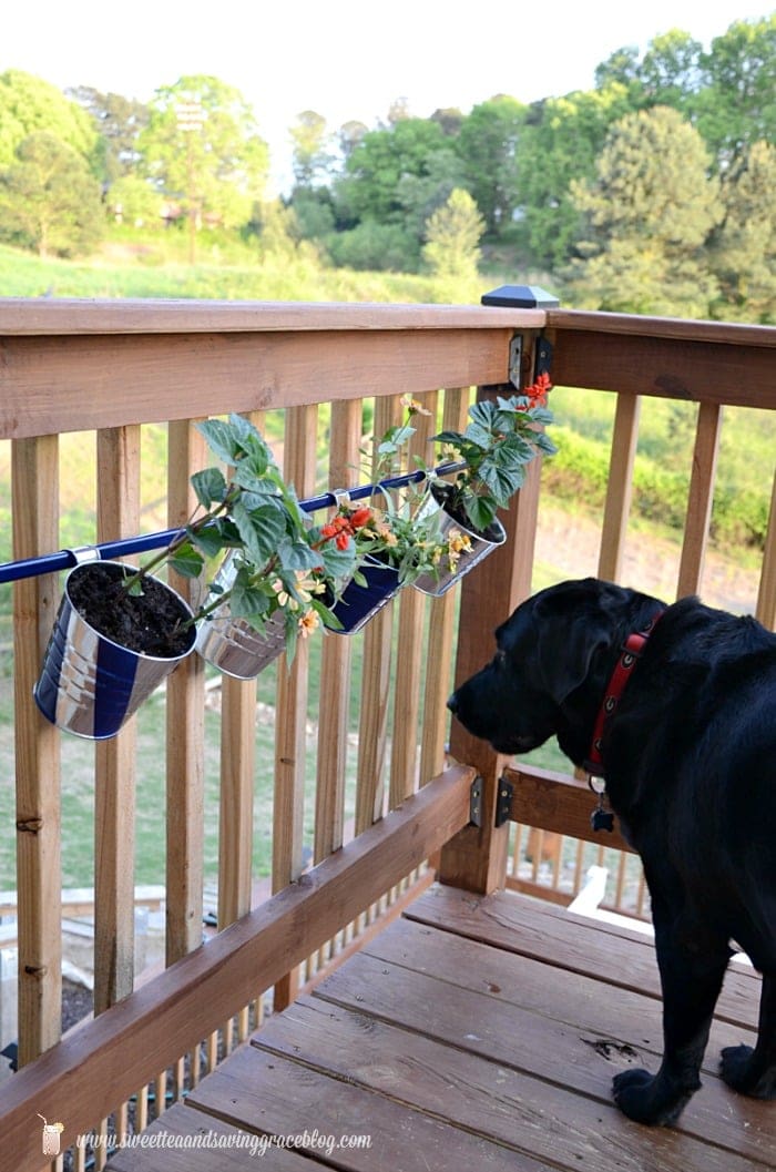 DIY Hanging Deck Flower Pots Yellow Bliss Road