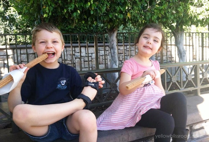 Disneyland Churros