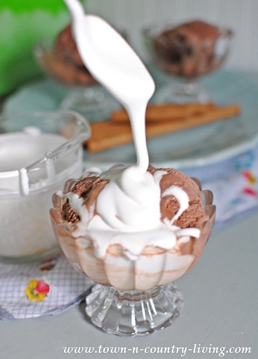 Chocolate Ice Cream with Marshmallow Sauce Yellow Bliss Road