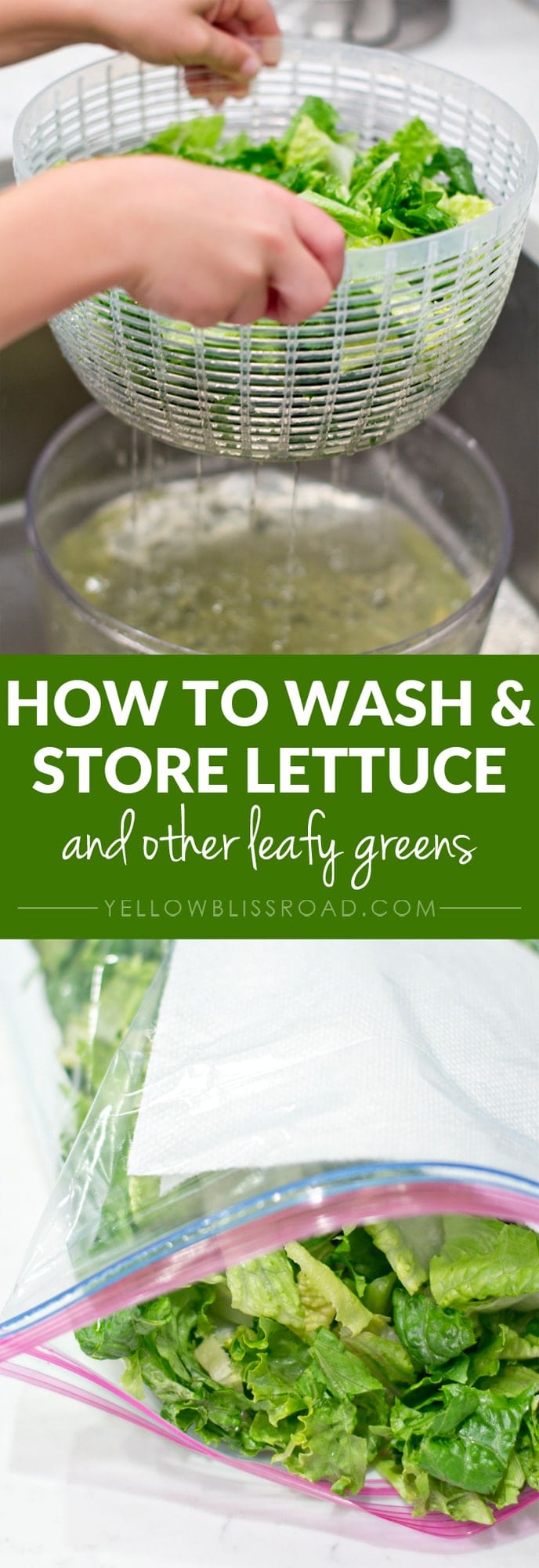 How to Properly Store Lettuce and Other Leafy Greens to keep them fresher longer