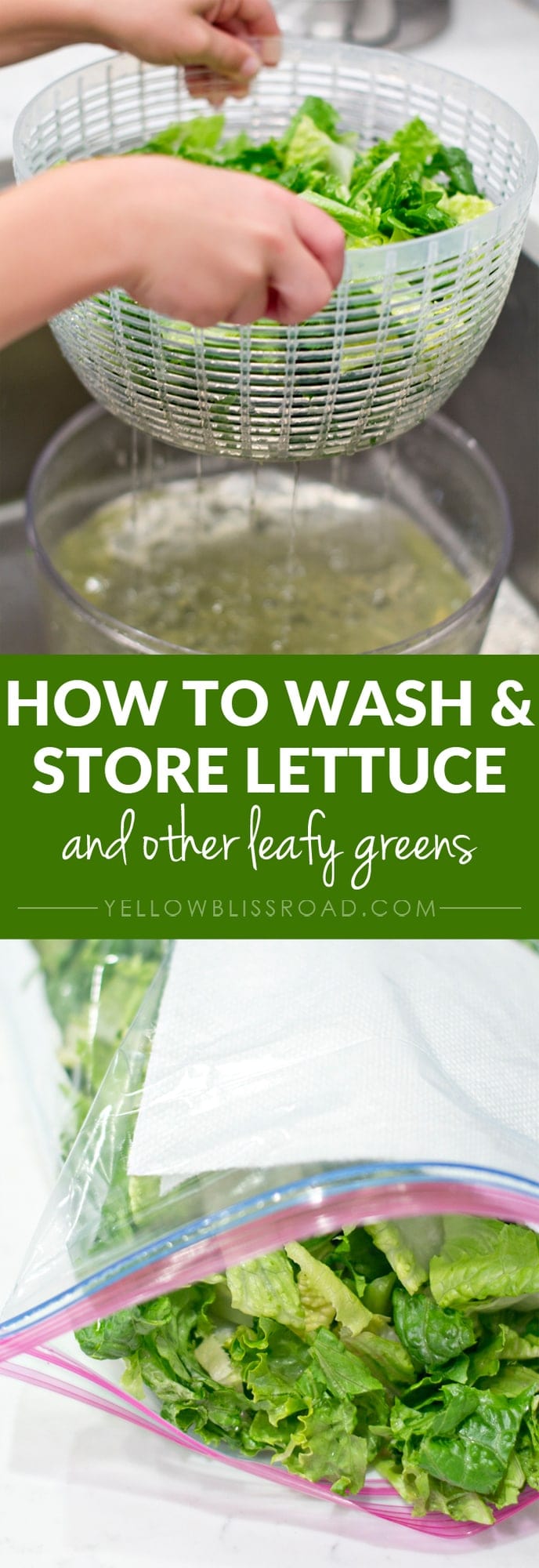 How to Wash and Store Lettuce and 12 Year Round Salads Yellow Bliss Road