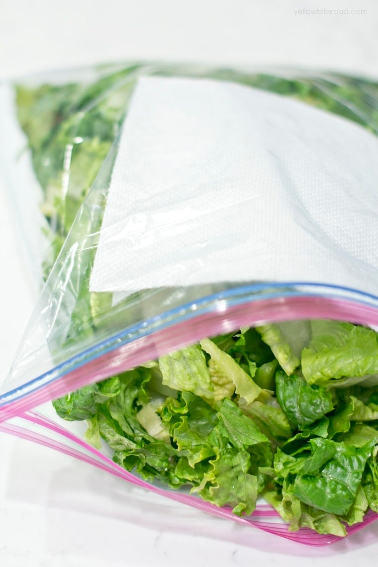 How to store lettuce to keep it fresh - lettuce in a bag with paper towels
