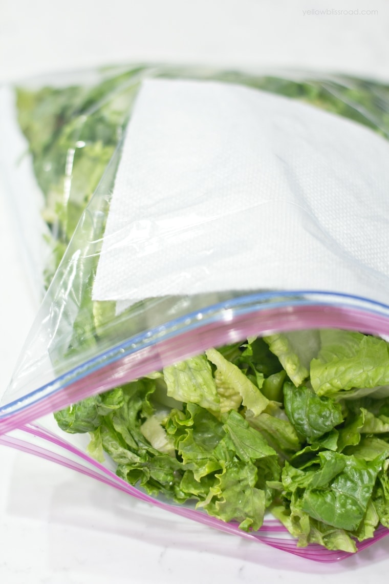 How to store lettuce to keep it fresh - lettuce in a bag with paper towels