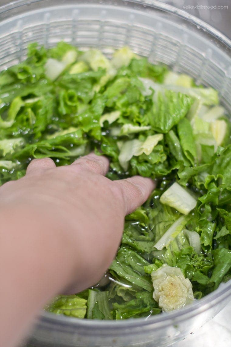How to Wash and Store Lettuce and 12 Year Round Salads Yellow Bliss Road