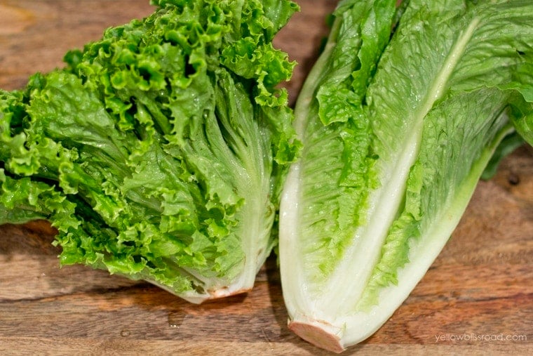 Two kinds of lettuce