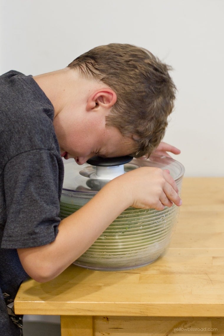 Using a salad spinner