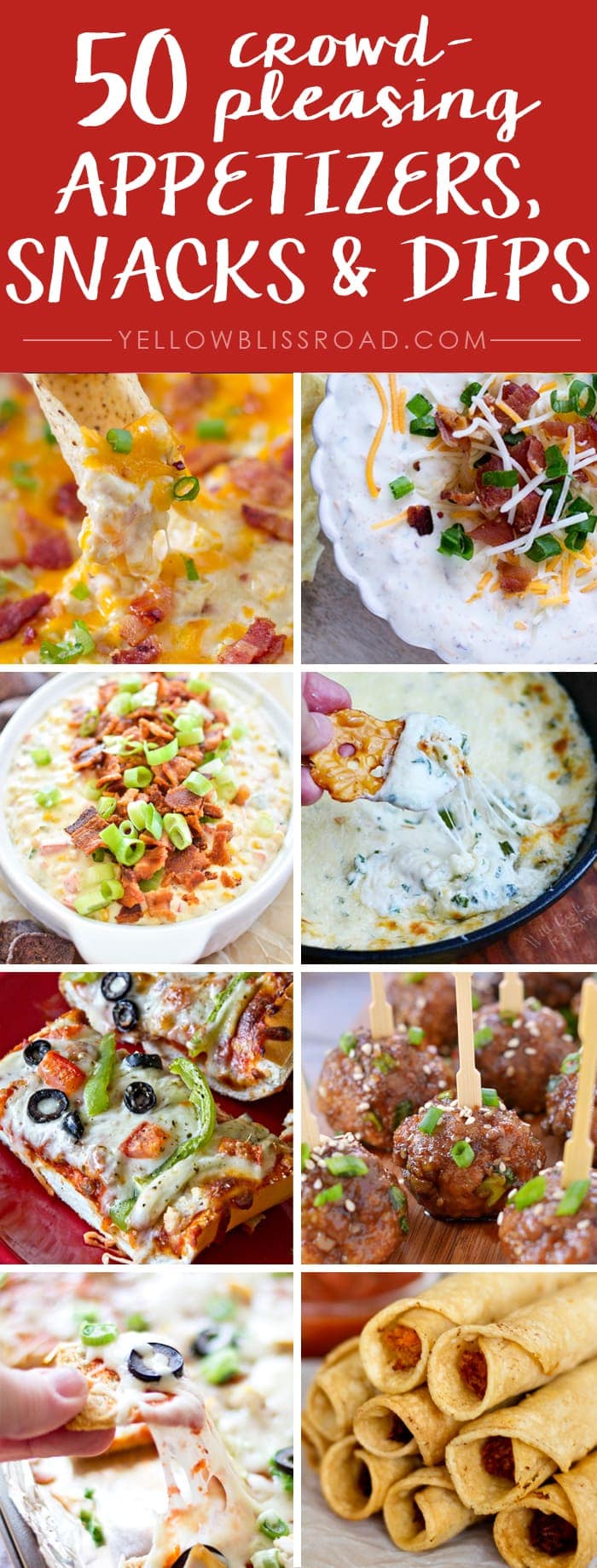 50 Crowd Pleasing Appetizers, Snack and Dips