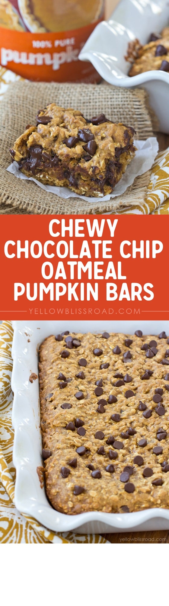 Chewy Chocolate Chip Oatmeal Pumpkin Bars