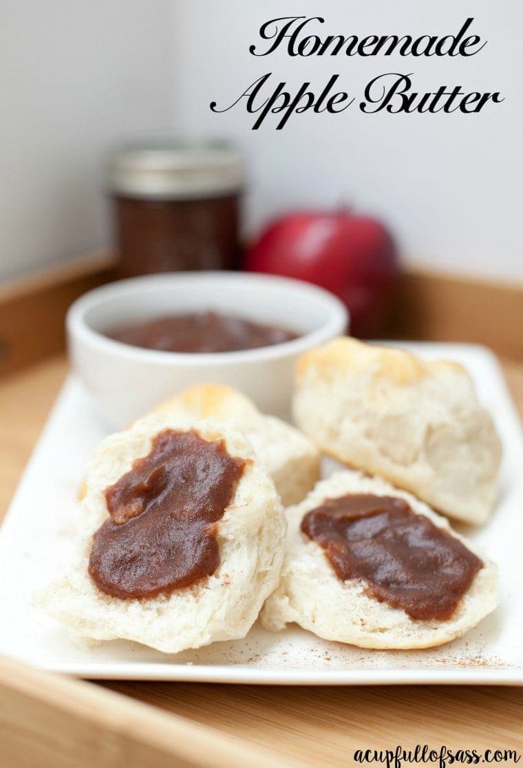 Easy Crockpot Apple Butter Recipe | Yellow Bliss Road
