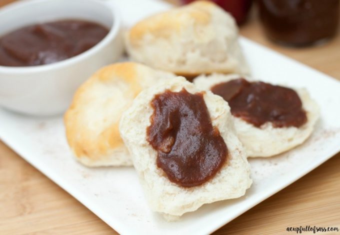 Easy Crockpot Apple Butter Recipe | Yellow Bliss Road