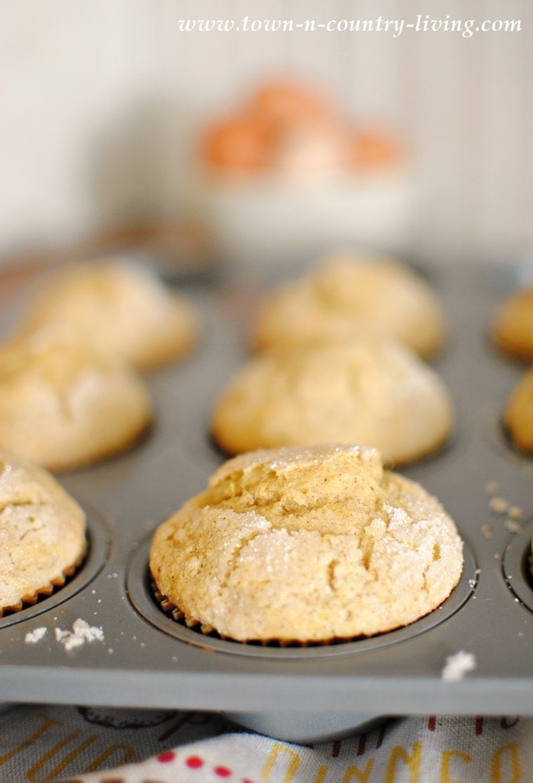 Pumpkin Muffins from Scratch Yellow Bliss Road