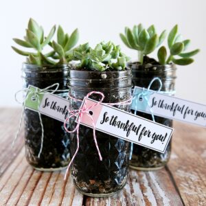“Thankful for You” Gift Idea with Free Printables