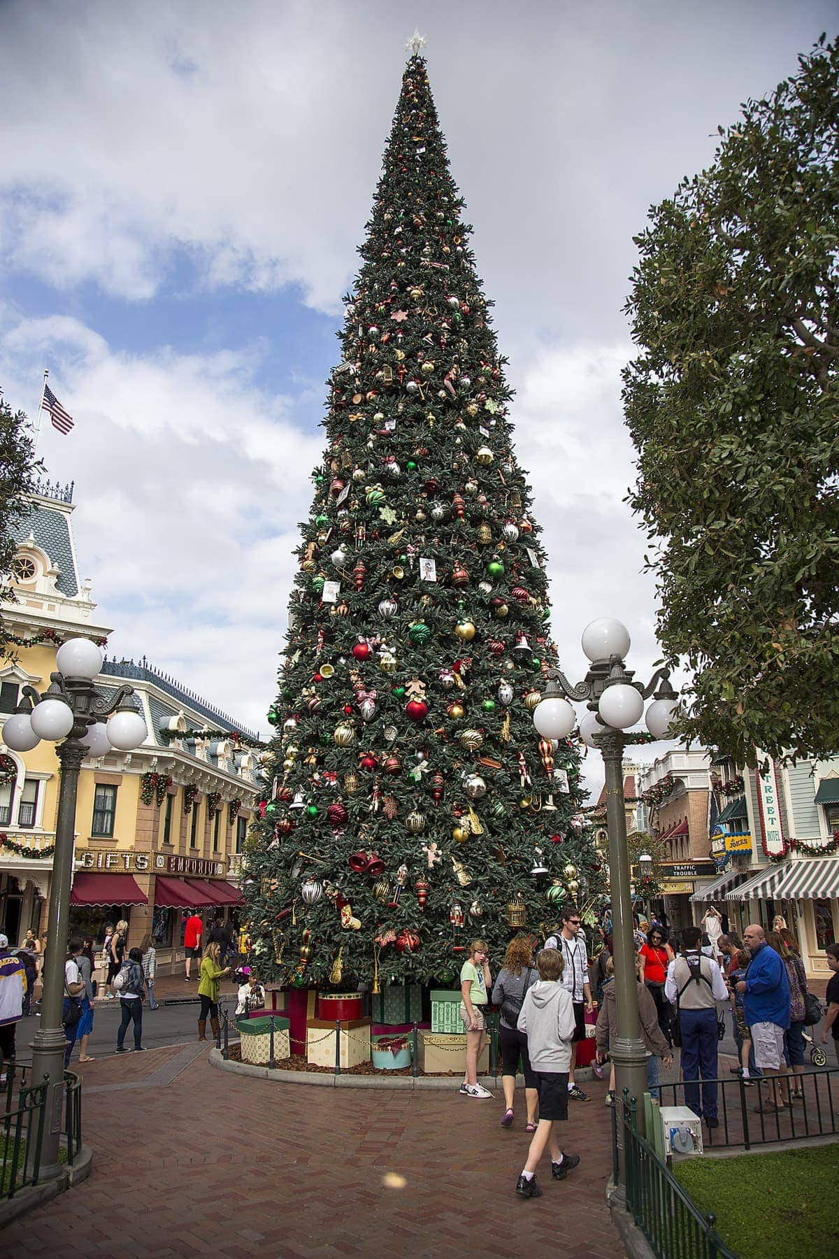 MAJESTIC CHRISTMAS TREE (ANAHEIM, Calif.) Just for the Holidays, a towering Christmas tree stands 60 feet tall at Town Square at Disneyland park, fully adorned with nearly 2,000 ornaments and 800 handmade bows. The Holidays are a magical time to create unforgettable memories with loved ones at the Disneyland Resort. This merry season runs Nov. 13 through Jan. 6, 2016, as Disneyland park becomes a dazzling winter wonderland with festive décor, holiday-themed treats and attractions transformed for the season its a small world Holiday and Haunted Mansion Holiday. This year, the Diamond Celebration adds even more sparkle to the exciting entertainment, which includes A Christmas Fantasy parade, Disney ¡Viva Navidad!, Paint the Night nighttime parade and the Disneyland Forever fireworks spectacular. (Paul Hiffmeyer/Disneyland Resort)