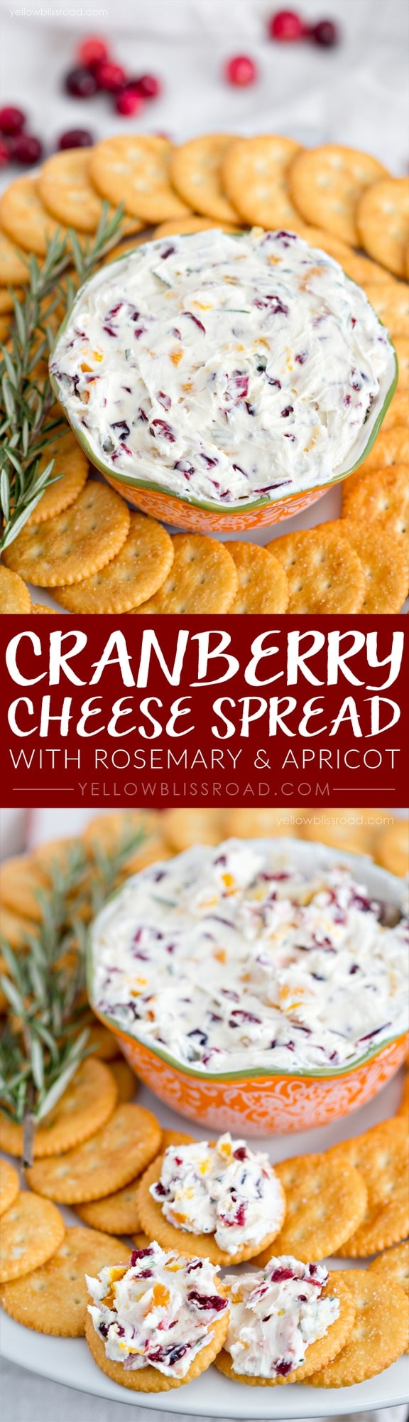 Holiday Cheese Spread recipe with dried cranberries & apricots, rosemary, and goat and cream cheeses - spread it on crackers or toasted bread