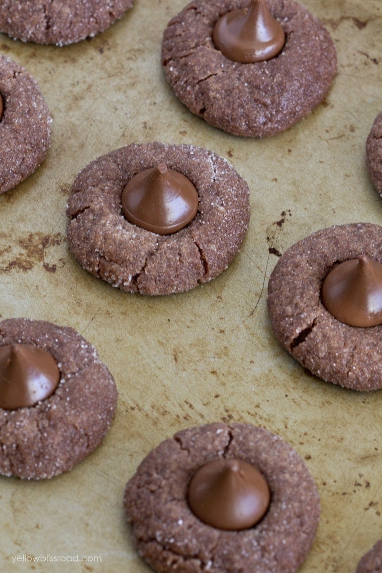 Chocolate Blossom Cookies